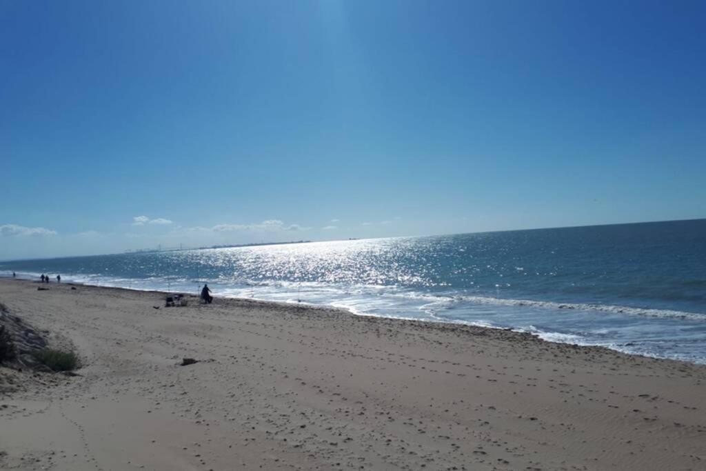 Acogedor Apartamento A 100 M. De Pinares Y Playa Lejlighed Rota Eksteriør billede