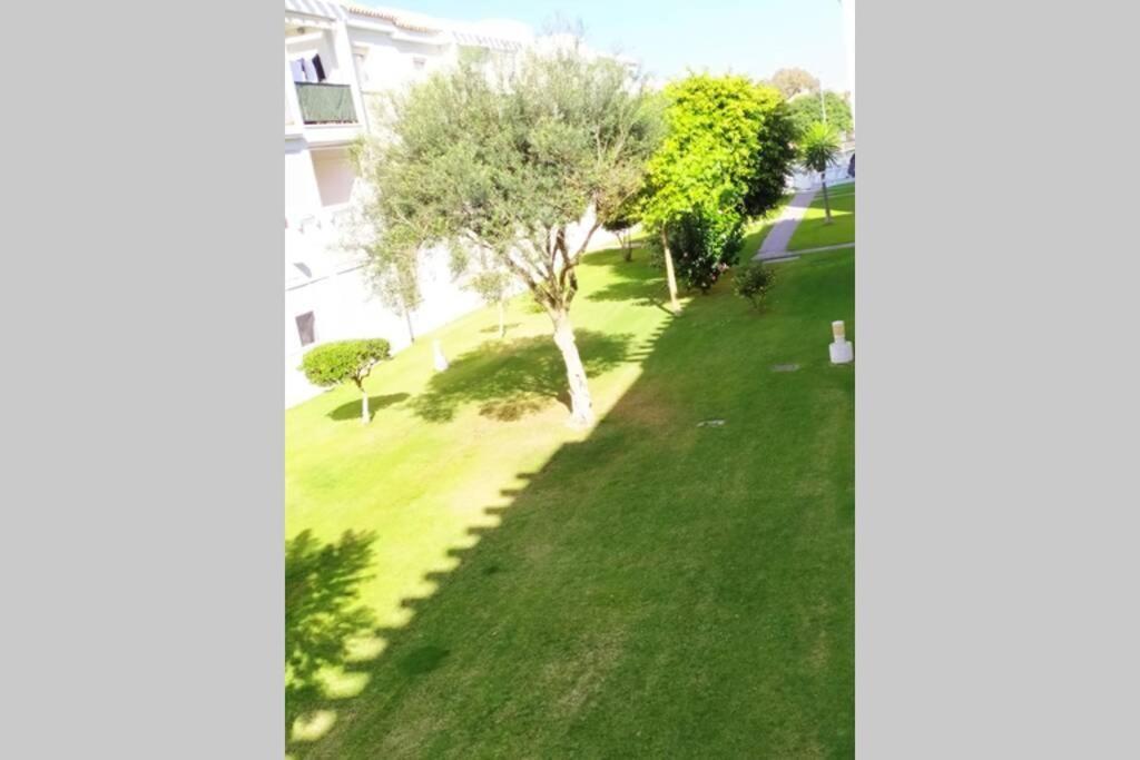 Acogedor Apartamento A 100 M. De Pinares Y Playa Lejlighed Rota Eksteriør billede