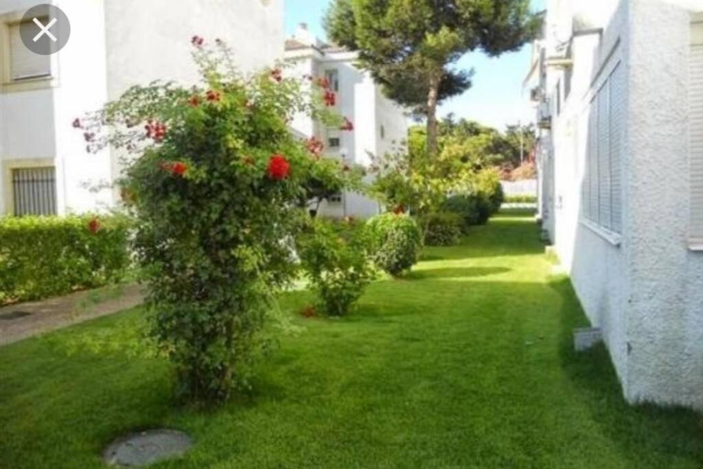 Acogedor Apartamento A 100 M. De Pinares Y Playa Lejlighed Rota Eksteriør billede