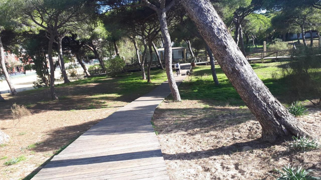 Acogedor Apartamento A 100 M. De Pinares Y Playa Lejlighed Rota Eksteriør billede