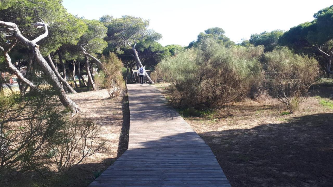 Acogedor Apartamento A 100 M. De Pinares Y Playa Lejlighed Rota Eksteriør billede